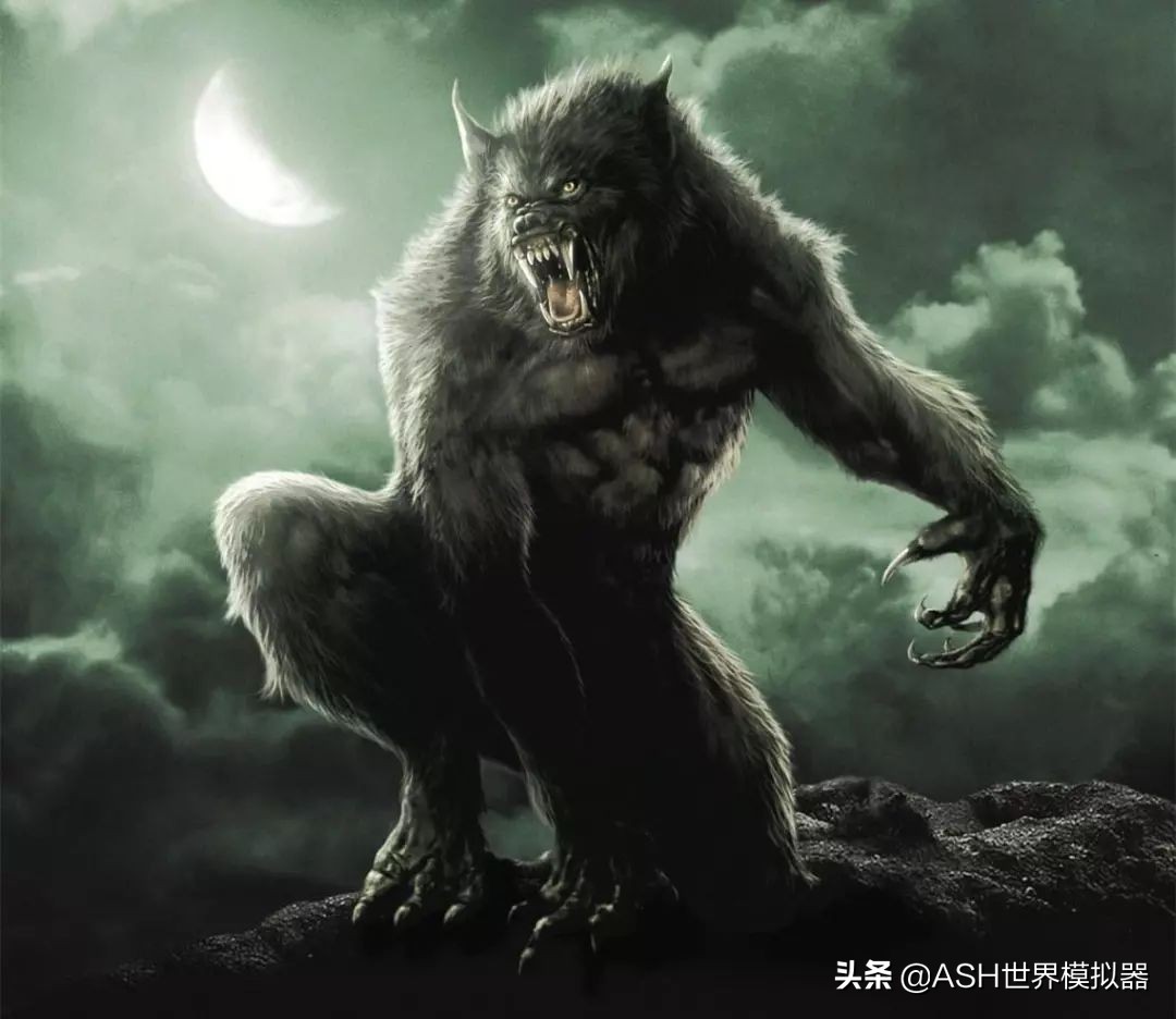 别人说你狼人，我却欢喜惊讶！