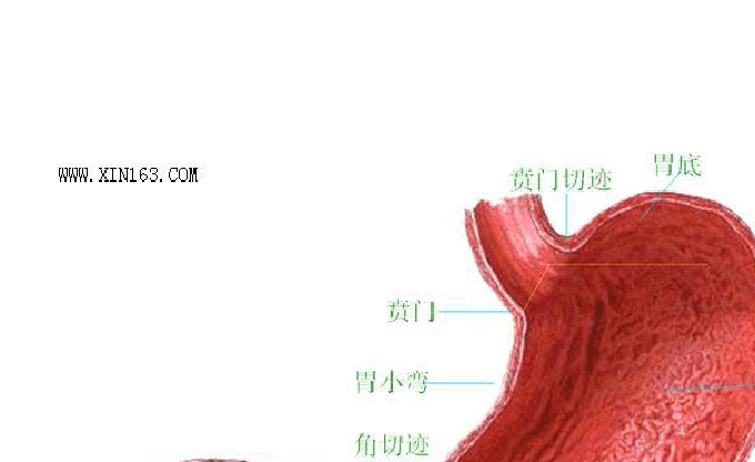 激战2职业_激战2不用买资料片的职业_激战2什么职业厉害