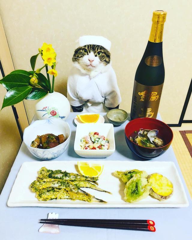 明日方舟资深干员搭配支援_明日方舟资深干员tag搭配_明日方舟资深干员搭配标签
