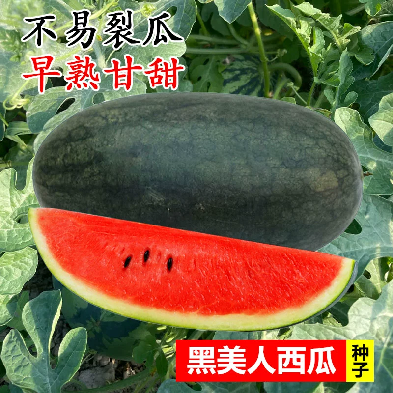 酉瓜视频_酉瓜视频_酉瓜视频