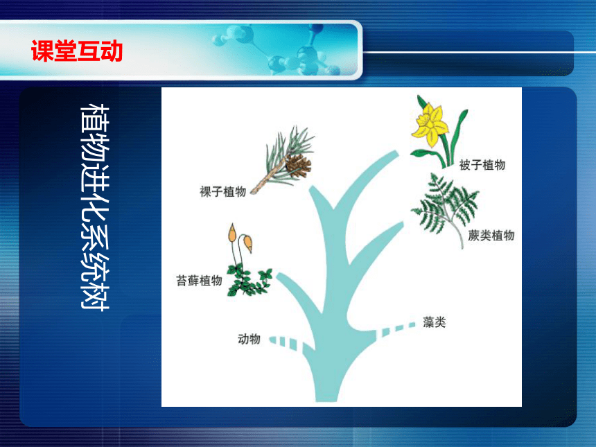 胡地进化：地球上奇异地区的神秘变革