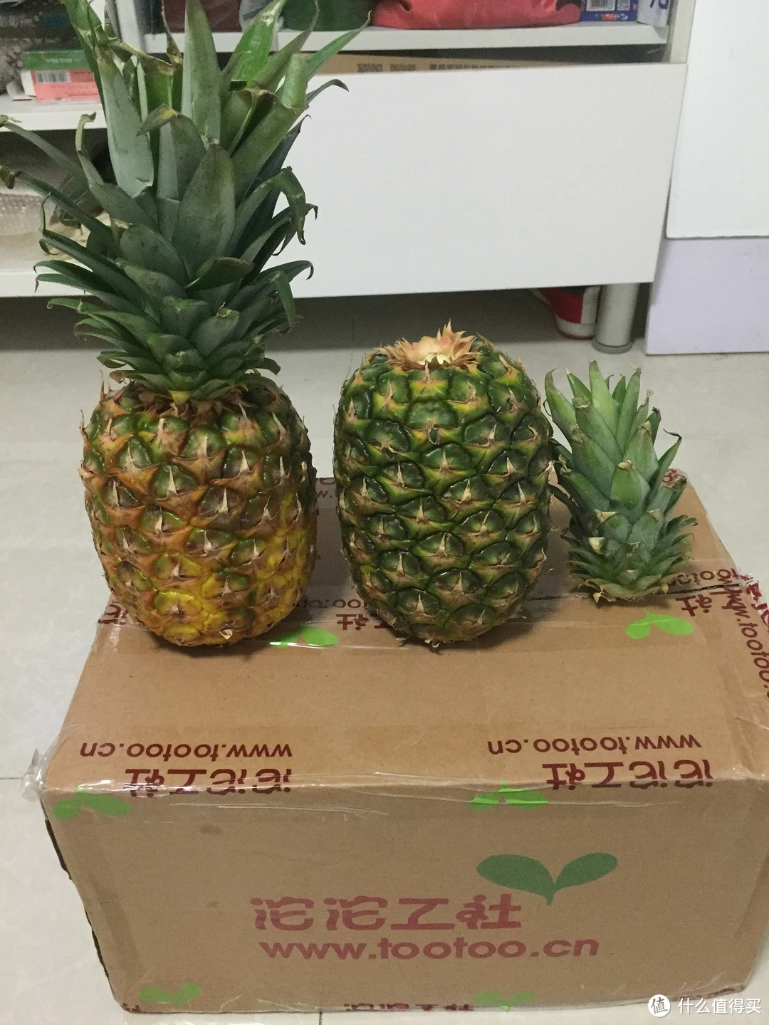 桔多多app下载安装_菠萝app_菠萝志app