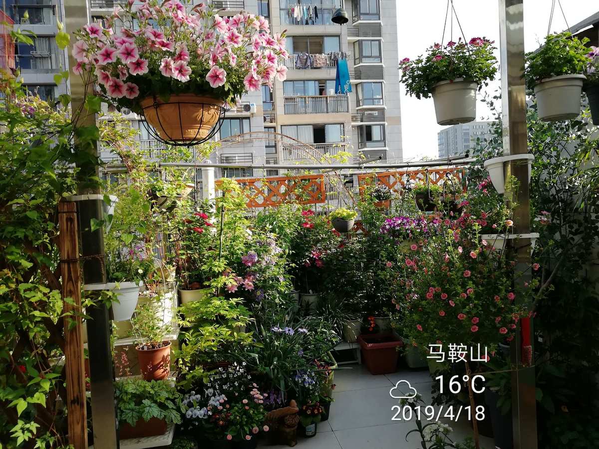 花园的乐趣4399小游戏_花园的乐趣4399小游戏_花园的乐趣4399小游戏