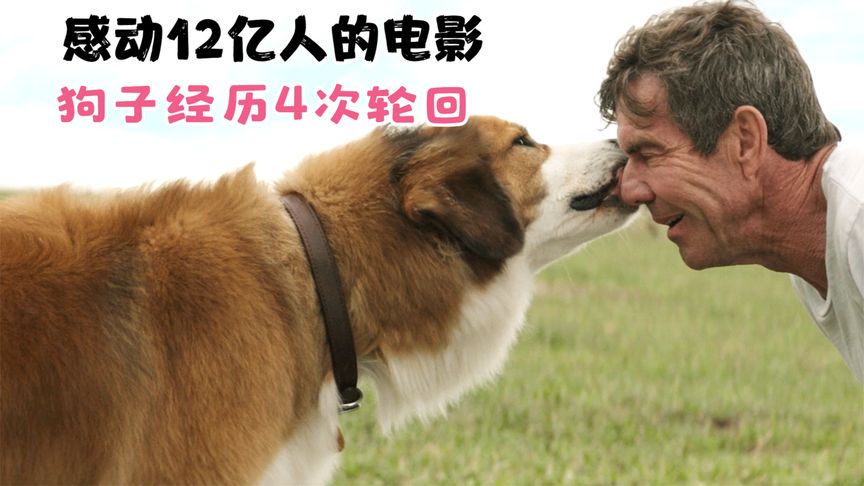 牛牛电影网_牛牛电影网_牛牛电影网