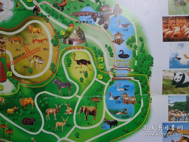 地图动物手机游戏大全_地图动物手机游戏推荐_手机游戏地图动物