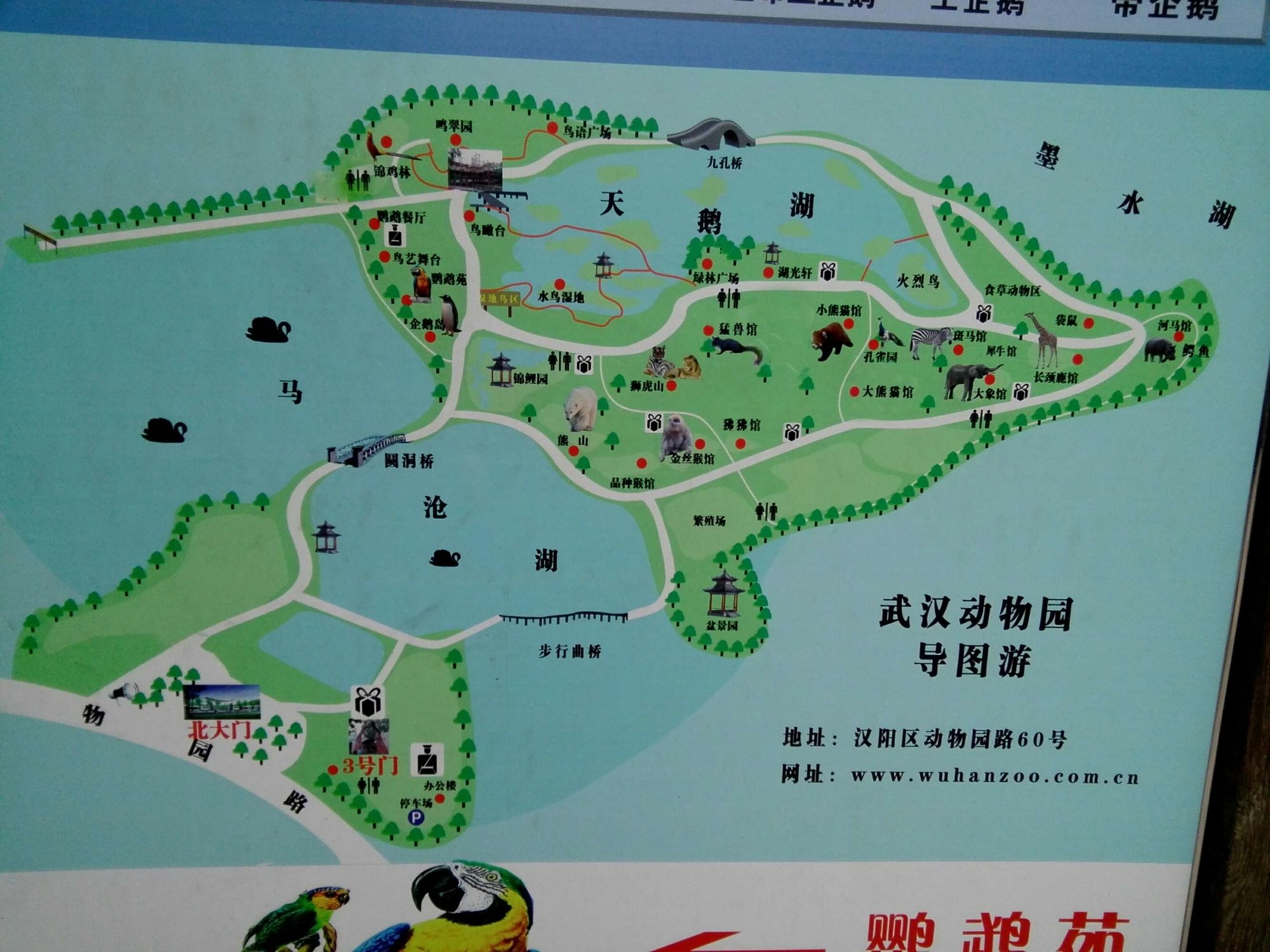 地图动物手机游戏大全_手机游戏地图动物_地图动物手机游戏推荐