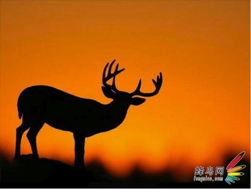 手机游戏拍摄方法_拍摄方法手机游戏有哪些_拍摄手机游戏的软件