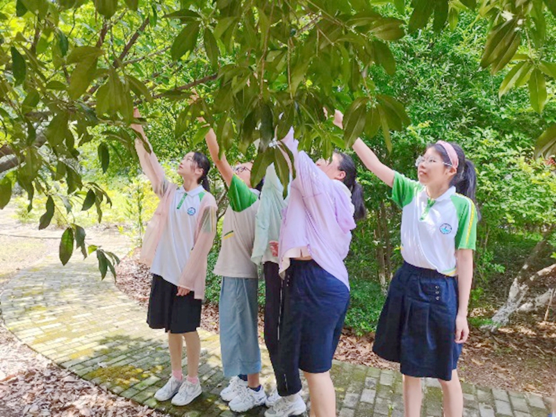 头条极速版邀请码_头条官方邀请码是多少_头条邀请码哪里填写