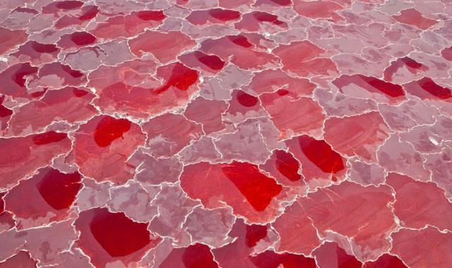 steam冥河_游戏冥河_手机游戏冥河