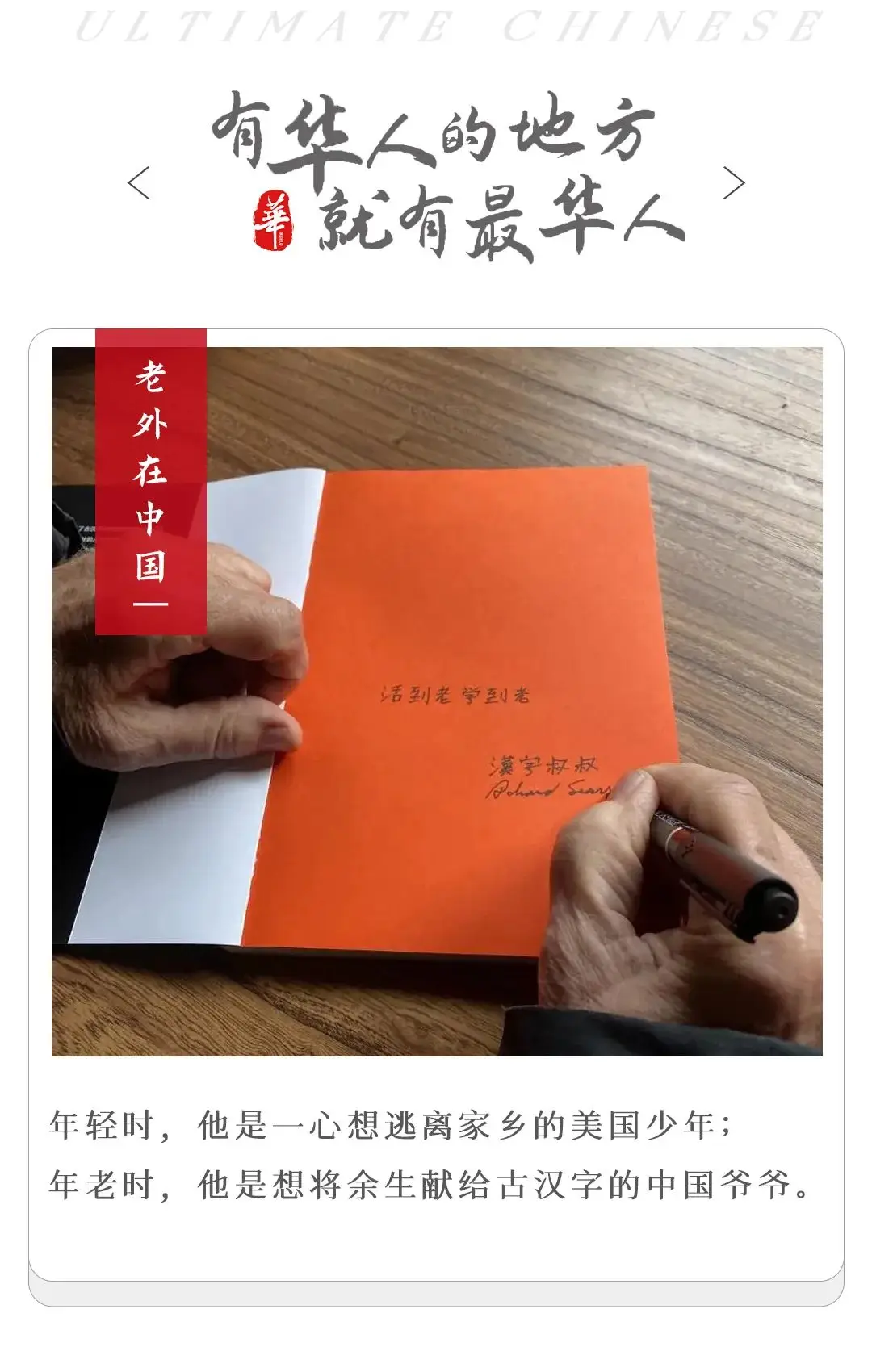 暗月卡牌：连接另一个世界的神秘桥梁，探索未知的钥匙
