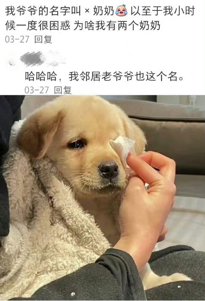游戏整人搞笑的游戏_整人游戏手机支架_最新整人游戏大全