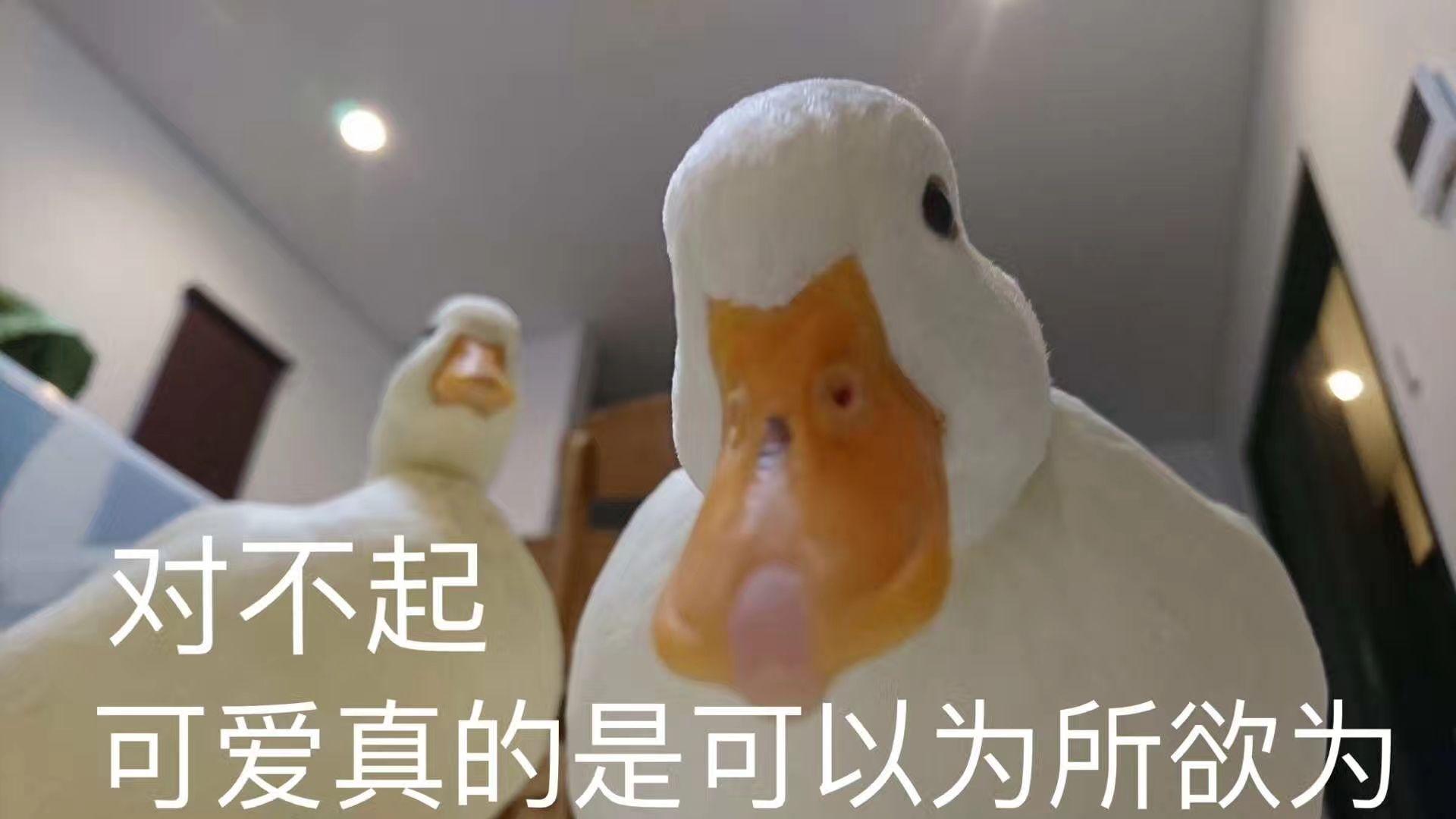游戏整人搞笑的游戏_整人游戏手机支架_最新整人游戏大全