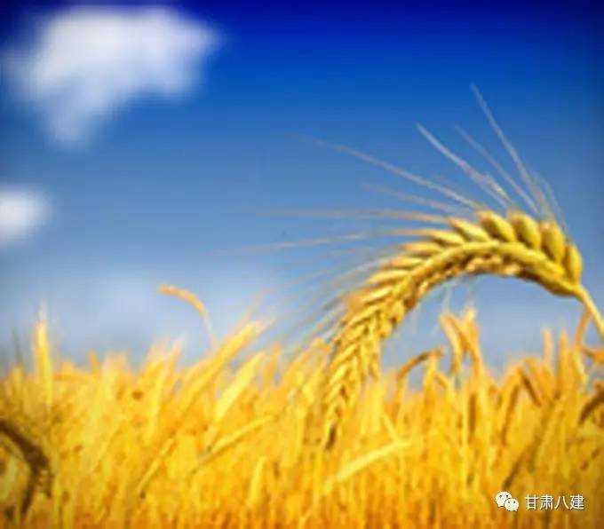 波稻_稻波七海攻略_夏日重现稻波