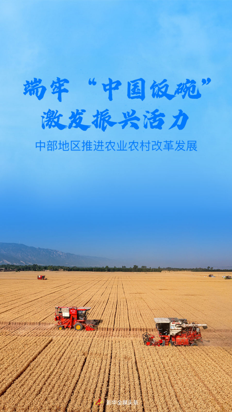 稻波七海攻略_波稻_夏日重现稻波