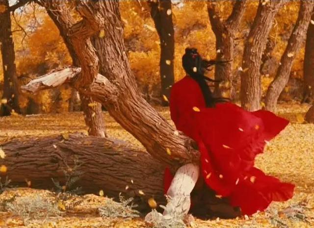 英雄张艺谋电影国语_张艺谋《英雄》在线观看_英雄观看张艺谋在线高清