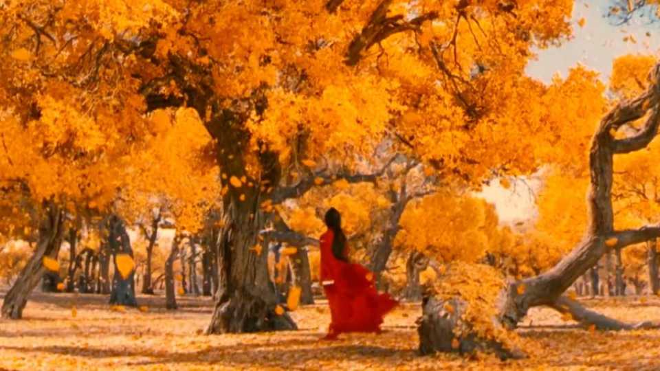 英雄观看张艺谋在线高清_张艺谋《英雄》在线观看_英雄张艺谋电影国语