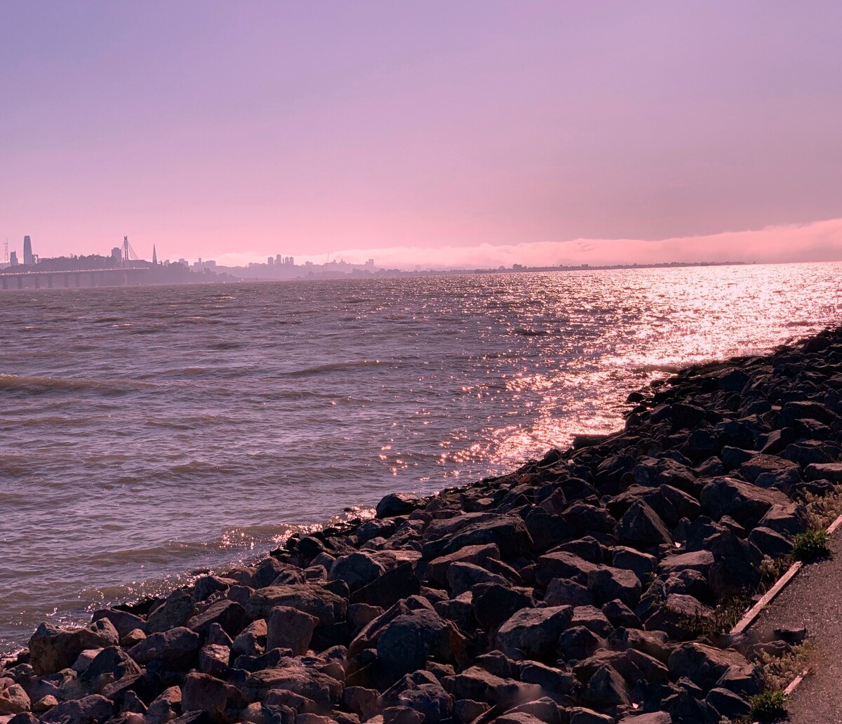 重返大海电影_小美人鱼重返大海_重返大海