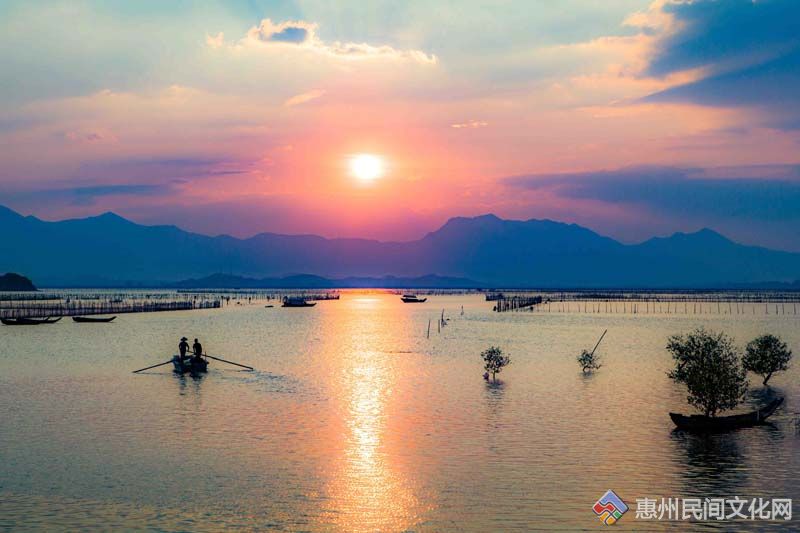 重返大海_重返大海电影_小美人鱼重返大海