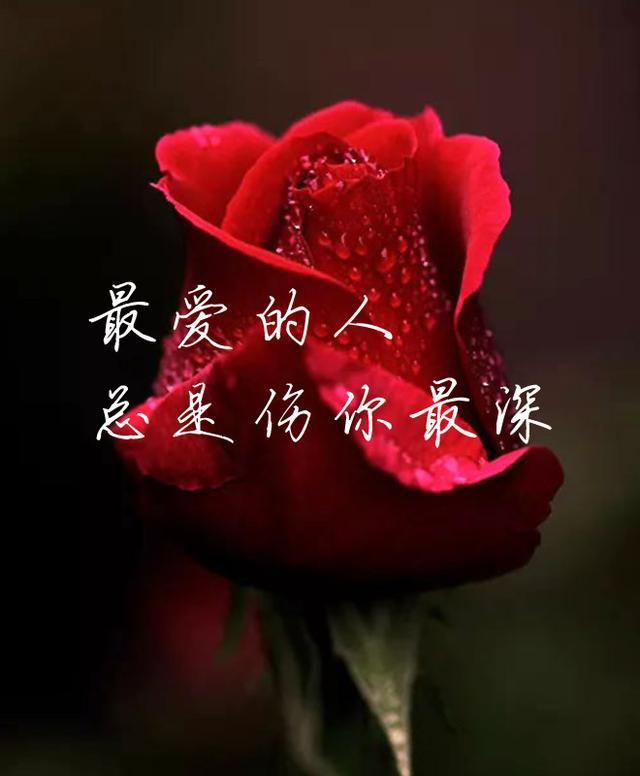克娄巴特拉读音_克娄巴特拉的酒宴_克娄巴特拉