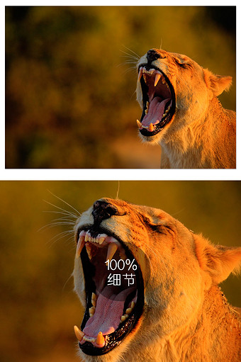 小清水亚美_小清水亚美配音的动漫_小清水亚美为什么不唱歌