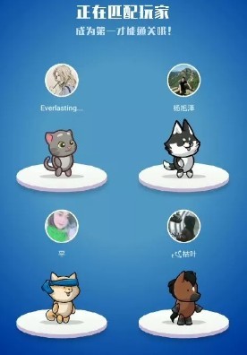 小猫屏幕手机游戏怎么玩_猫咪屏幕游戏_手机屏幕小猫游戏