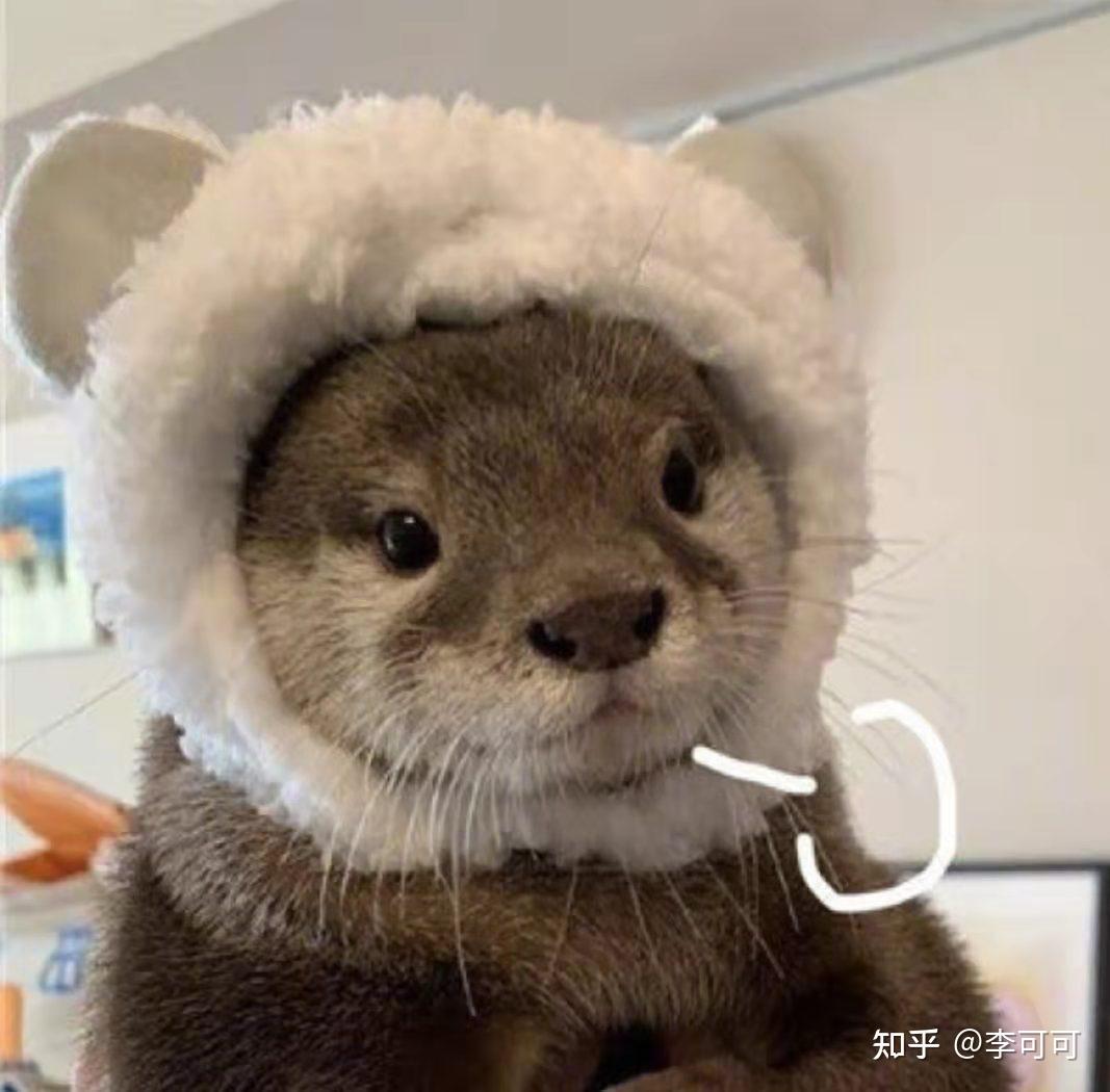 急救225去哪里学技能_急救225到300书在哪买_急救225