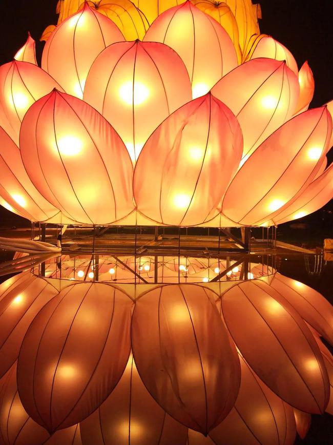 芙劳波_芙劳波百科_芙劳波和阿姆罗