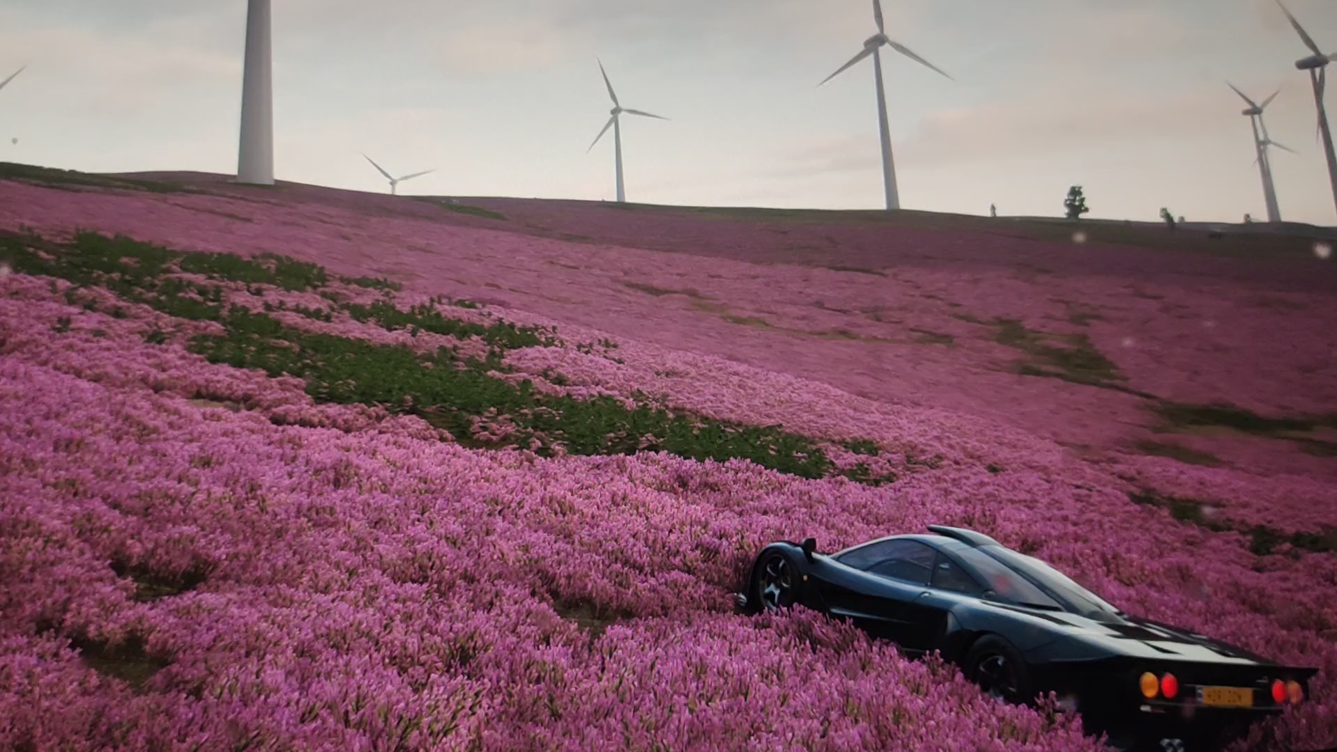 境界线上的地平线百度百科_境界线上的地平线表情包_境界上的地平线