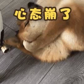 手机视频游戏掉线了_视频掉线手机游戏怎么办_视频掉线手机游戏能玩吗