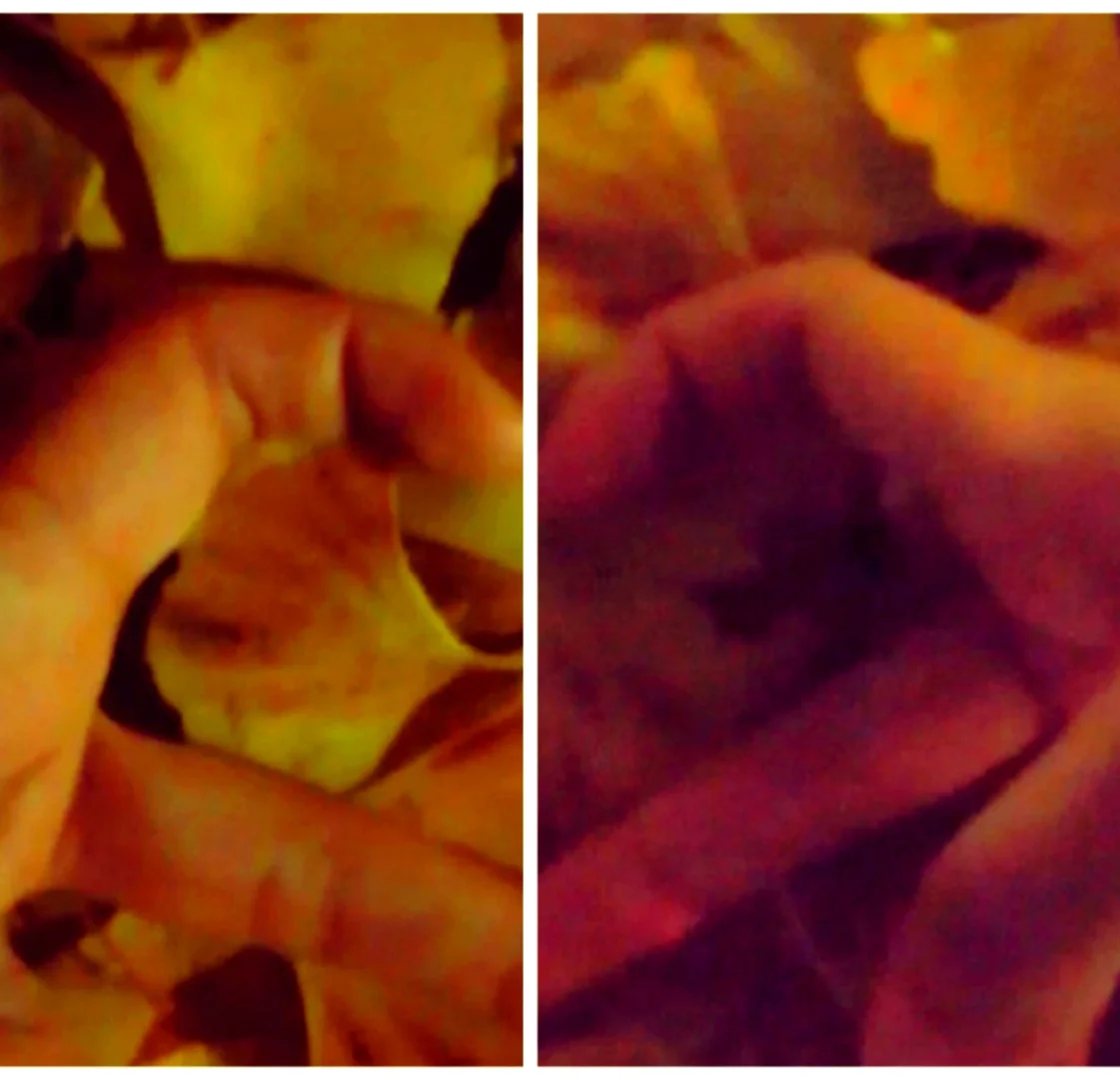 手机游戏t软件_手机游戏软件app_最全手机游戏软件