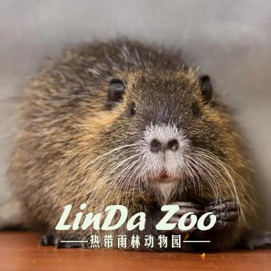 一母一女头像卡通_头像卡通母女情侣_头像卡通母女图片