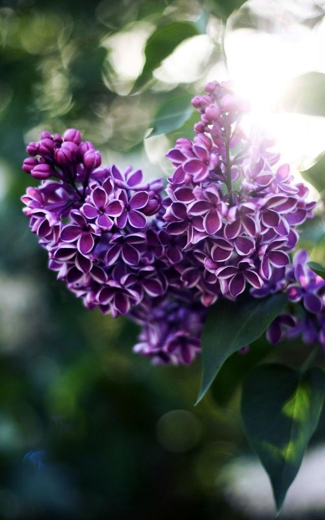 贾米拉真实事件_贾米拉_贾米拉是哪个国家的宇航员