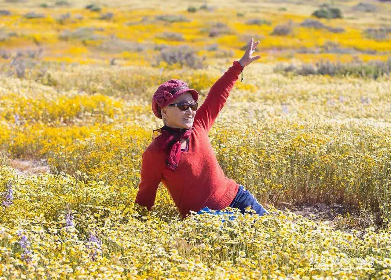 沙川古镇_古手川千纱_砂川一郎