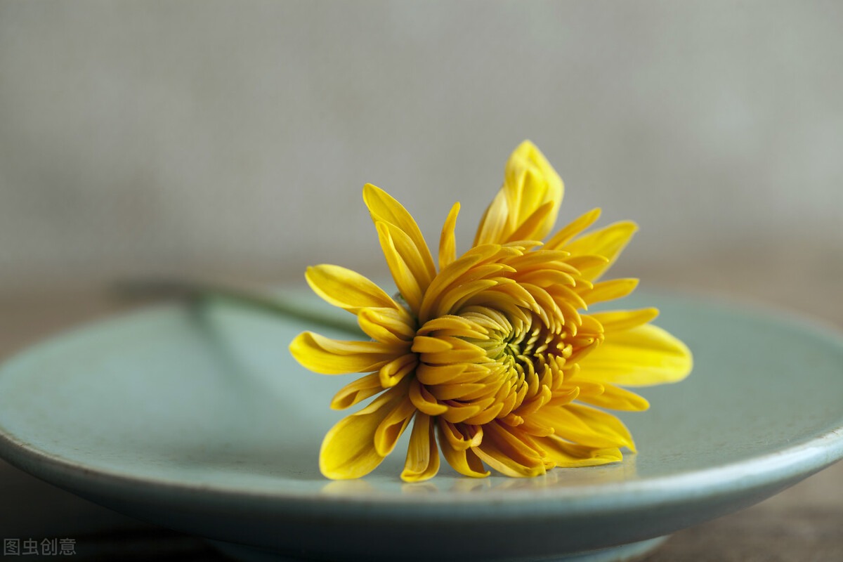 沙川古镇_古手川千纱_砂川一郎