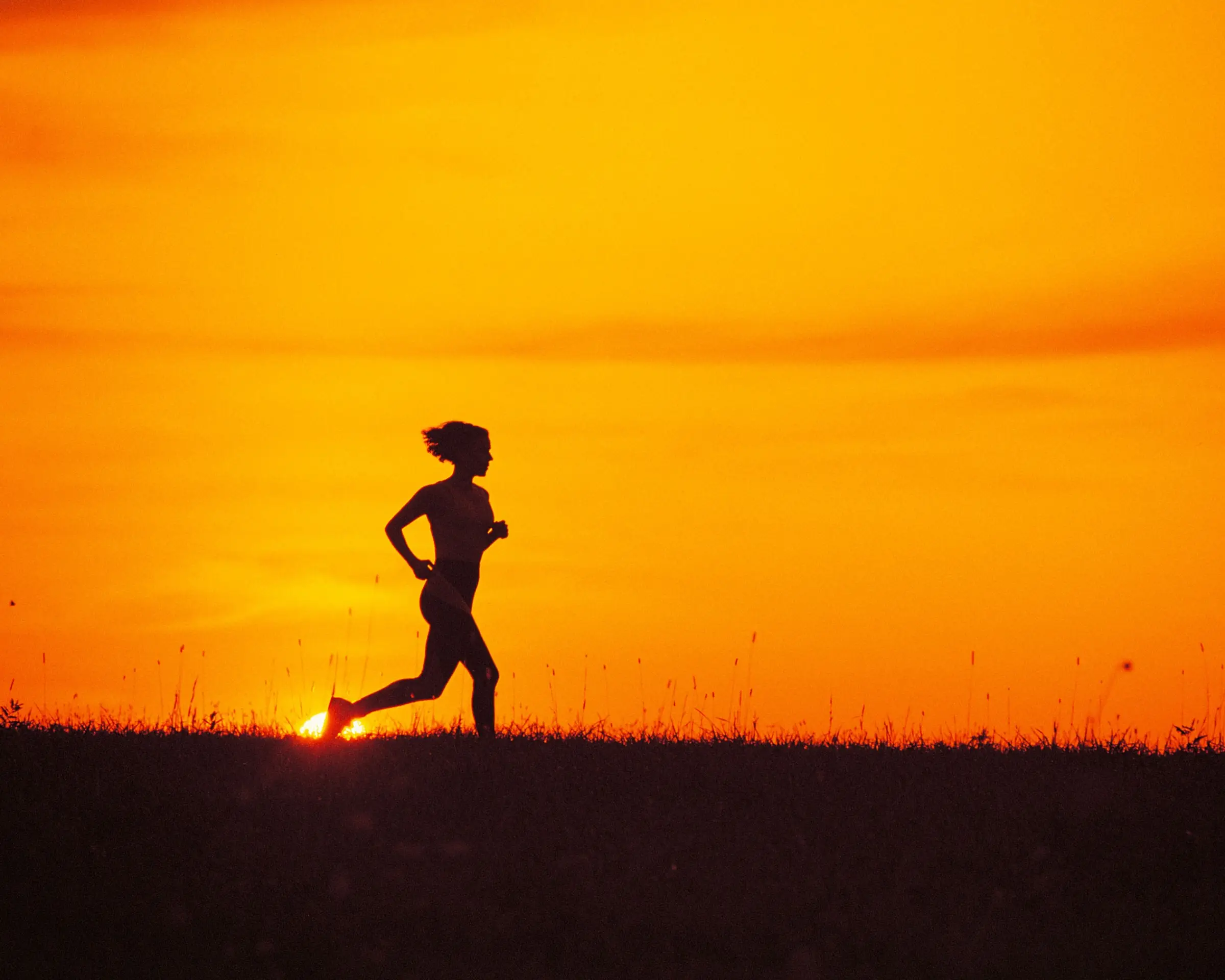 扔东西的游戏叫什么_扔东西的小游戏_手机游戏扔东西