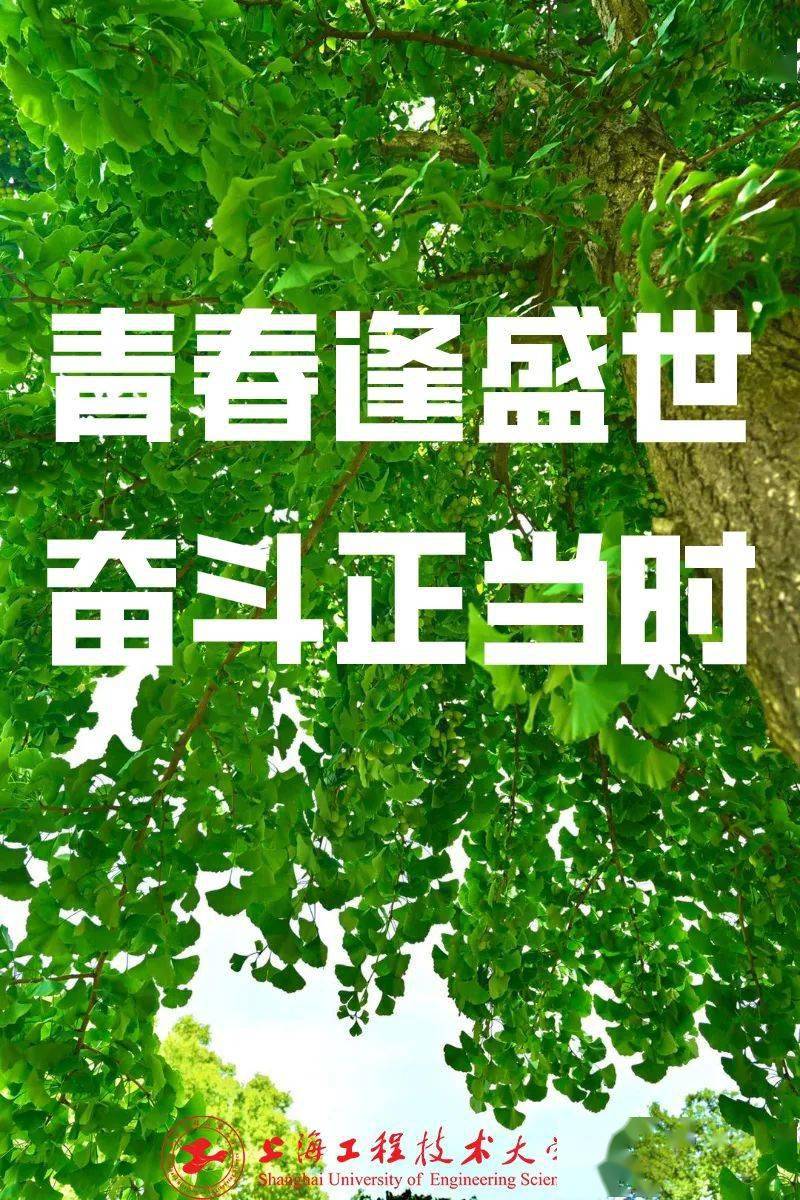 小林澄子_白鸟任三郎小林澄子_小林澄子佐藤美和子