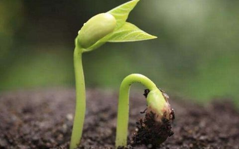 吉吊八千慧_吉吊八千慧_吉吊八千慧