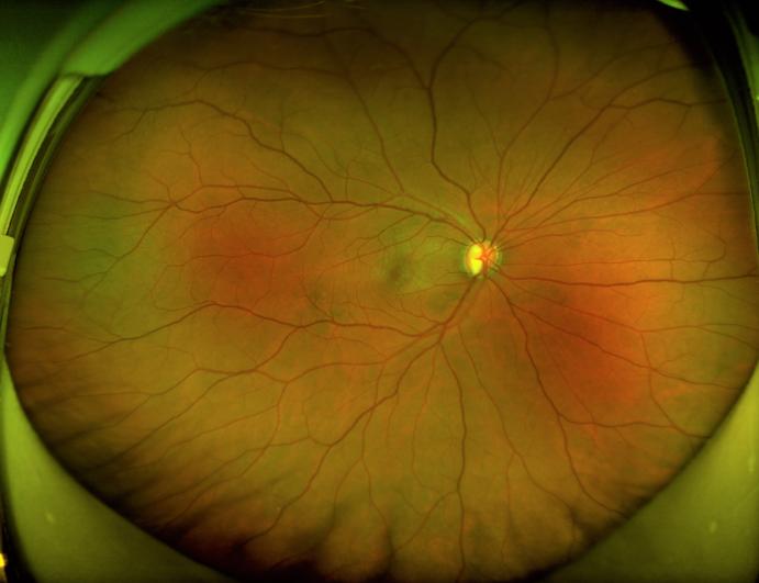 病毒扩张小游戏_病毒手机游戏_手机游戏病毒扩散