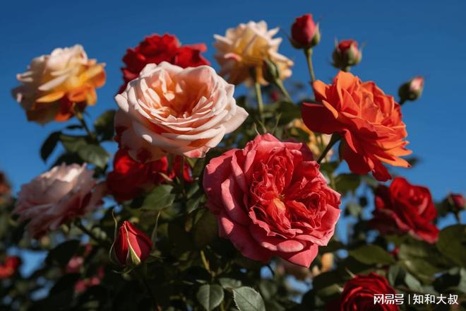 手机游戏总是下线什么意思_下线了是啥意思_下线模式是什么意思