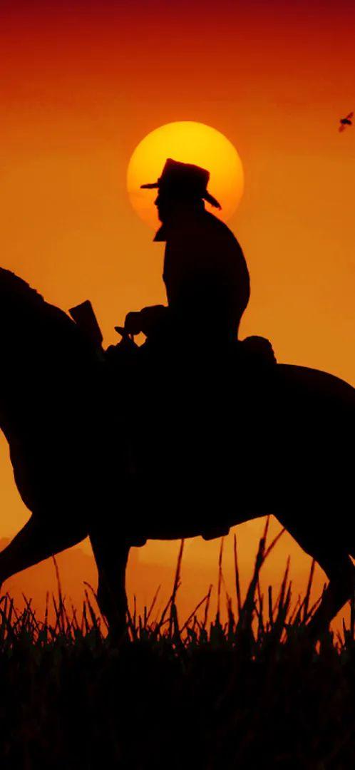 荒野大镖客2老兵任务_荒野大镖客老兵的任务_荒野大镖客老兵第四部分