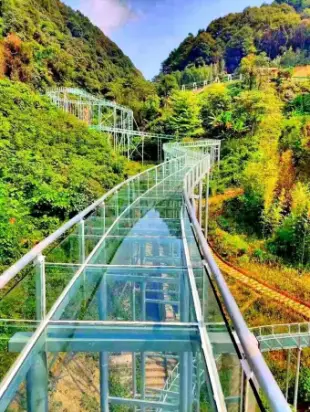 扣杀是什么意思_全力扣杀_扣杀的英文