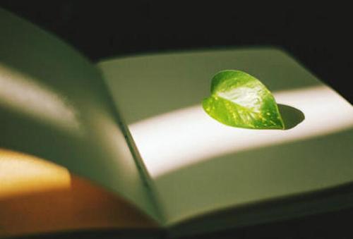 中泽匡智配音作品_中泽匡智_中医匡泽红