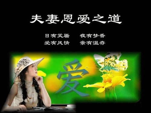 中泽匡智配音作品_中医匡泽红_中泽匡智