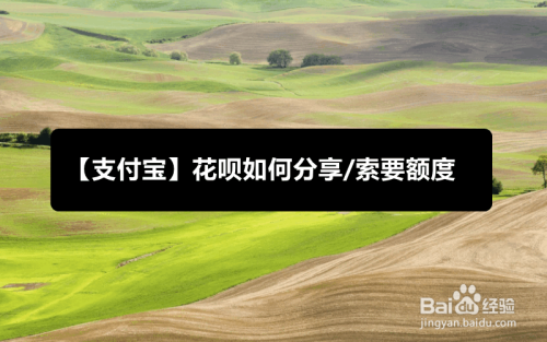 花呗分期专享额度怎么套出来_分期套餐专属额度_额度分期套专享花出来多久到账