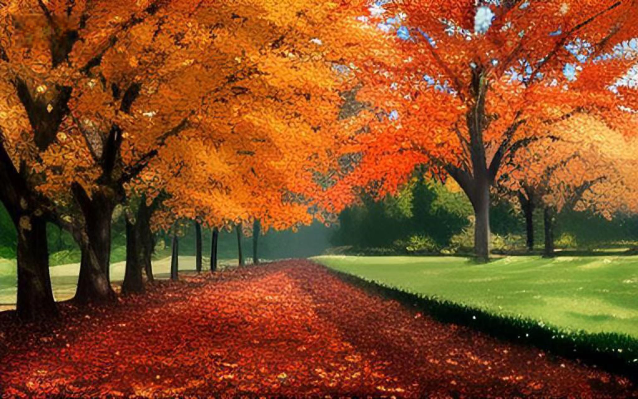 手机游戏 树 合成_合成小树的游戏_合成树手机游戏推荐