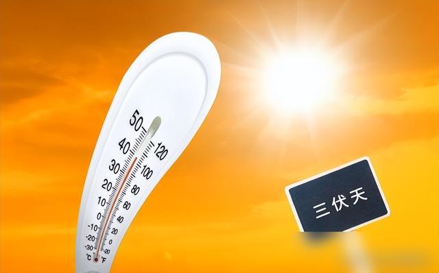 合成小树的游戏_手机游戏 树 合成_合成树手机游戏推荐