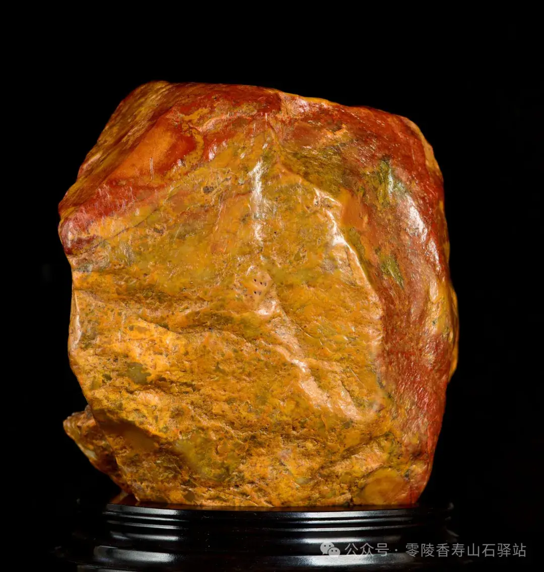 手机游戏 树 合成_合成树手机游戏推荐_合成小树的游戏