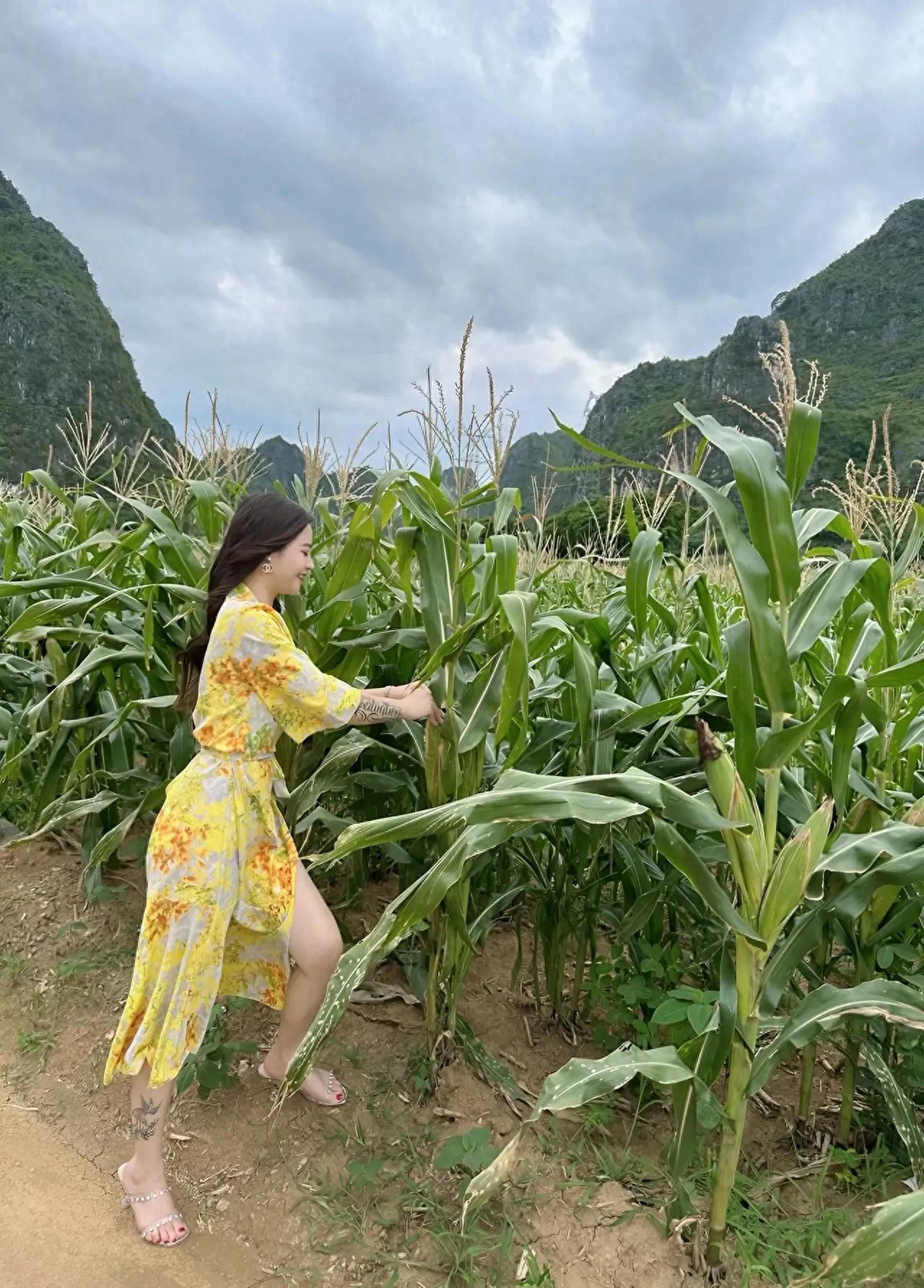 美女穿纯透明比基尼_美女穿超透明挤b裤图_美女穿透明衣服