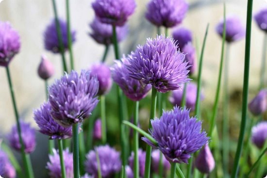 体感在哪设置_手机怎么改体感游戏帧数_手机体感怎么设置