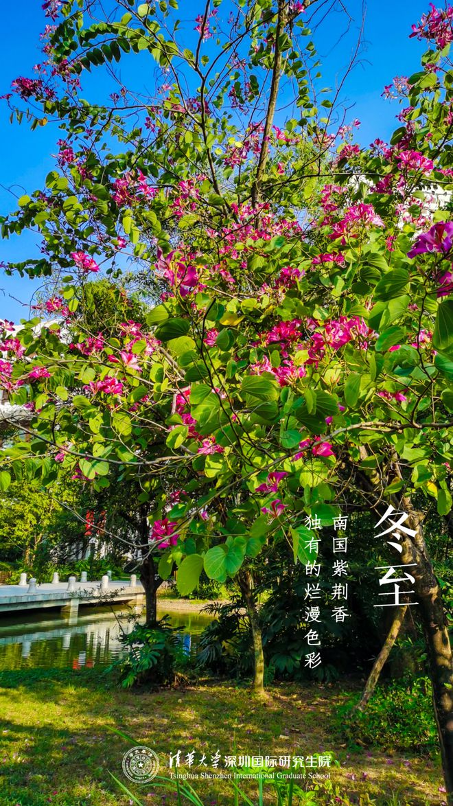 冬至含义是什么意思_冬至的含义_冬至含义诗意的描述